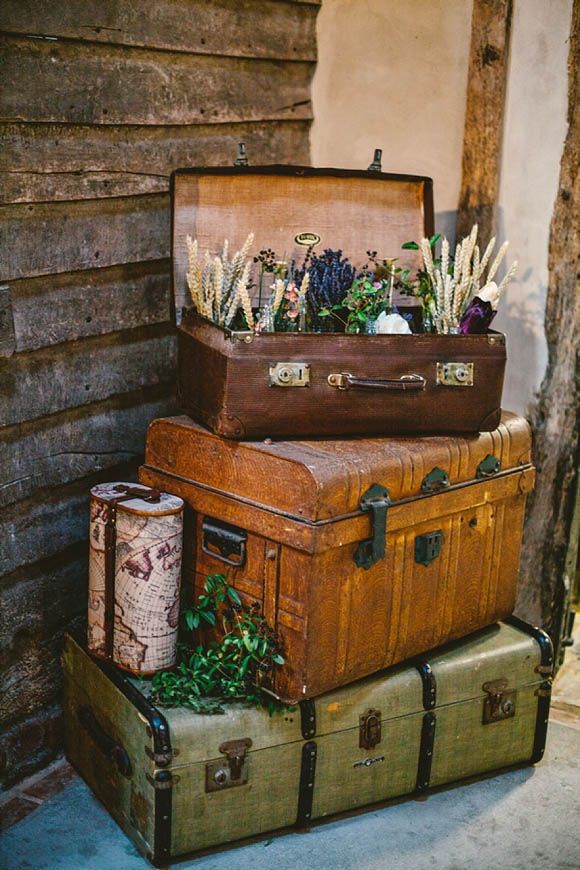 Planter in a suitcase or trunks